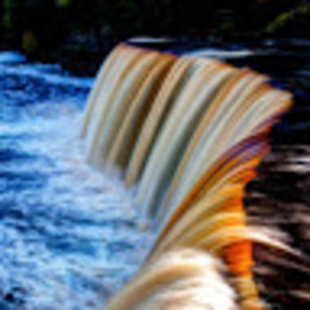 Meet your Posher, Shannon